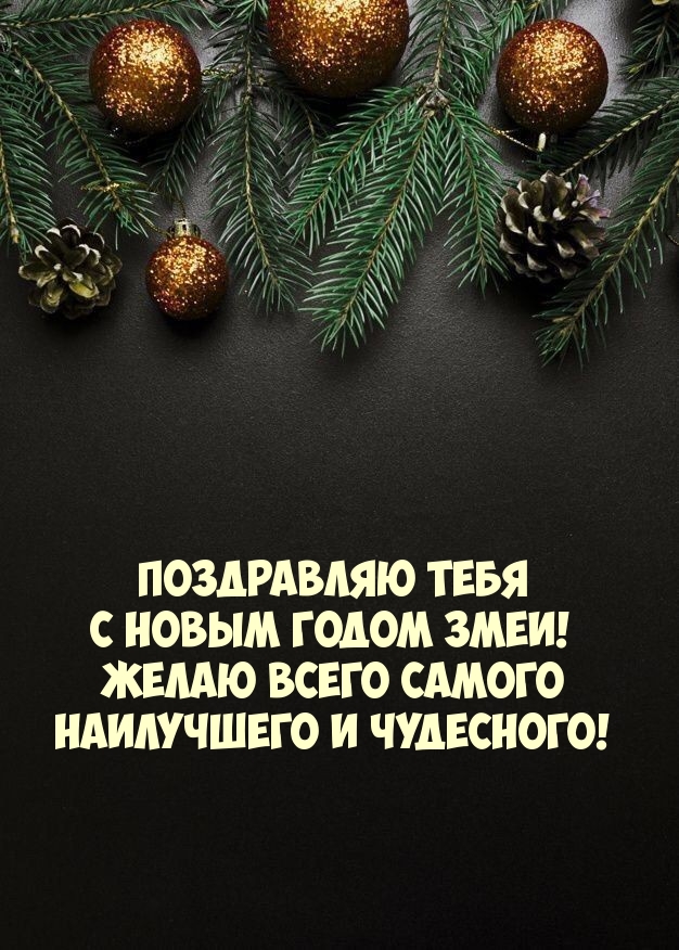 Поздравляю тебя с Новым Годом Змеи!