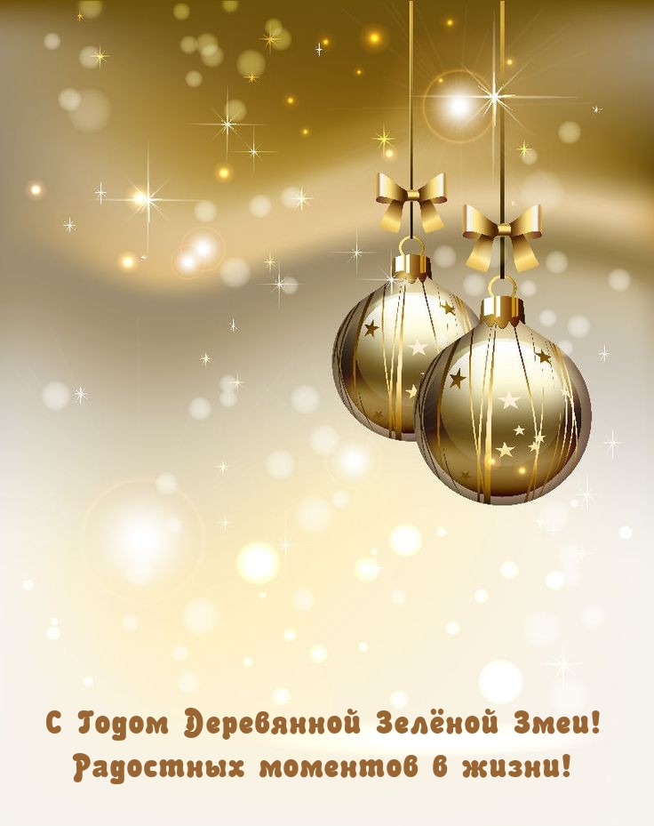 С Годом Деревянной Зелёной Змеи! Радостных моментов в жизни!