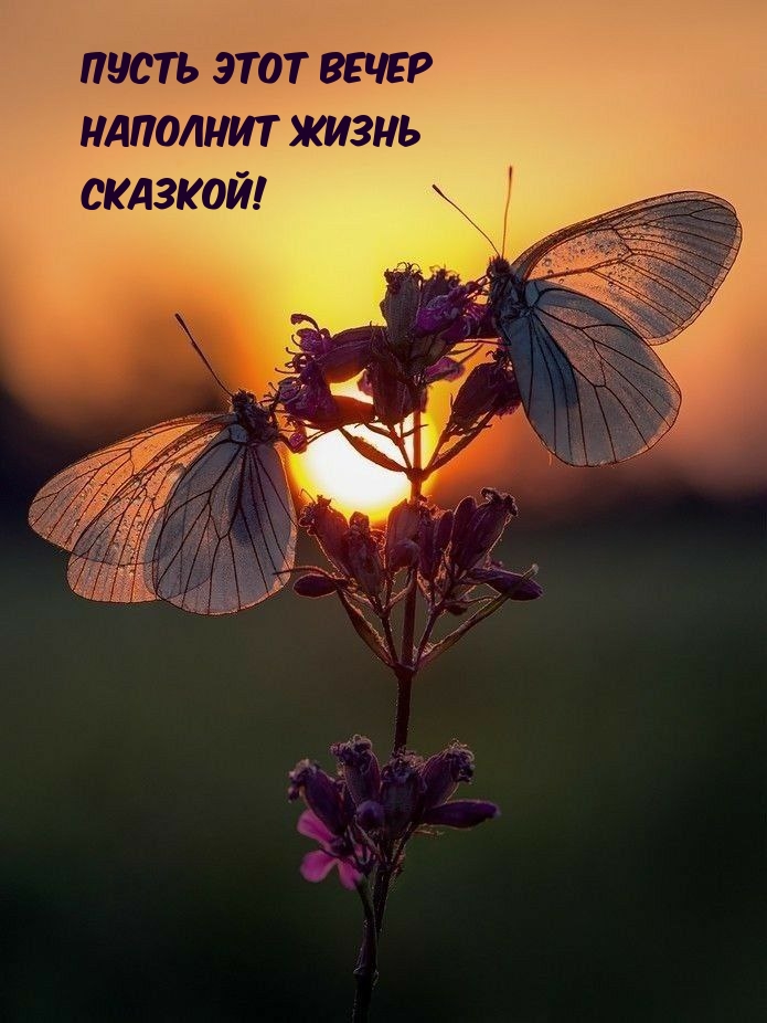 Пусть этот вечер наполнит жизнь сказкой!