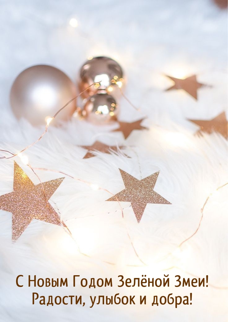 С Новым Годом Зелёной Змеи! Радости, улыбок и добра!