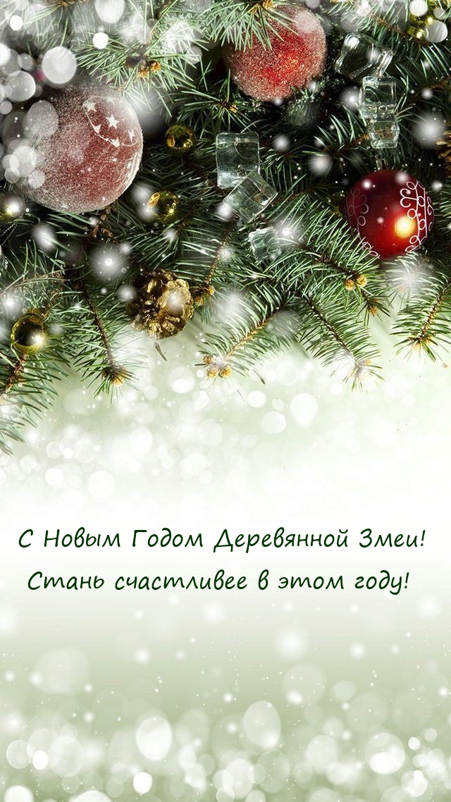 С Новым Годом Деревянной Змеи! Стань счастливее в этом году!