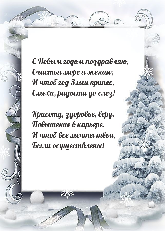 С Новым годом поздравляю, счастья море я желаю