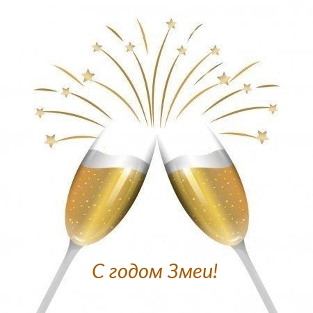 С годом Змеи!