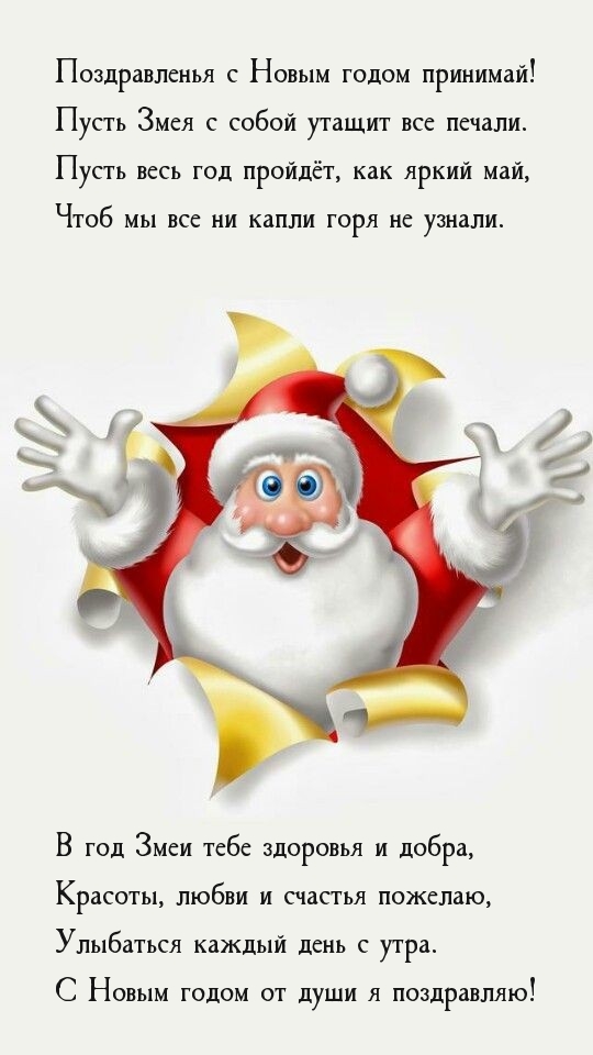 С Новым годом принимай! Пусть Змея с собой утащит все печали.