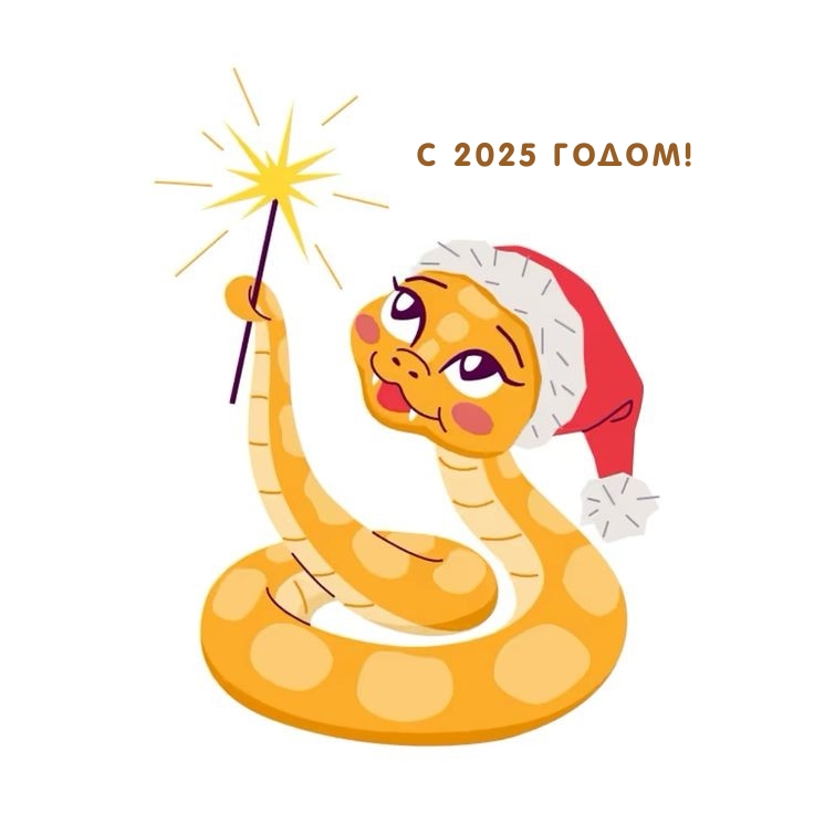С 2025 годом!