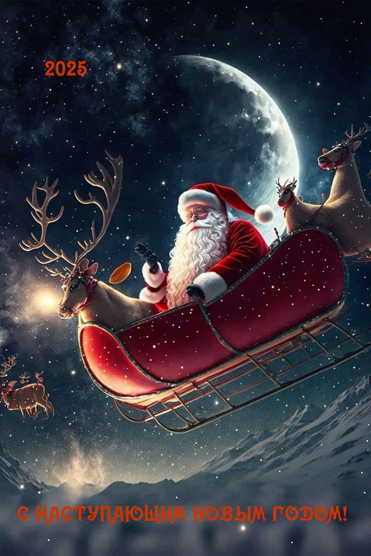 2025 С наступающим новым годом! 