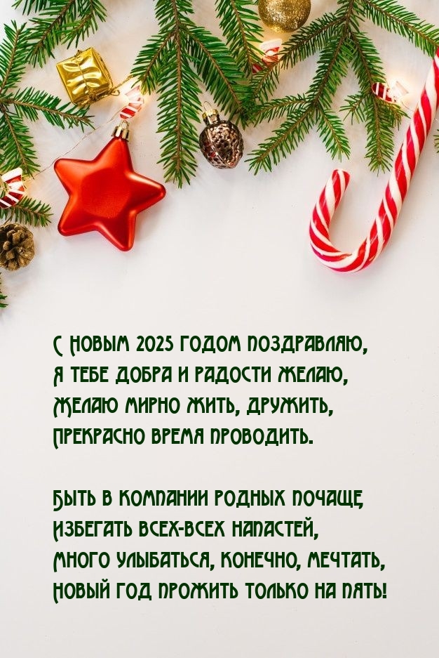 С Новым 2025 годом поздравляю, я тебе добра и радости желаю