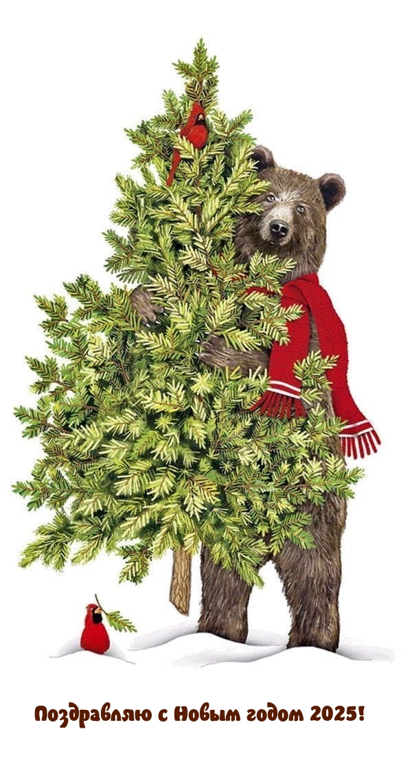 Поздравляю с Новым годом 2025!