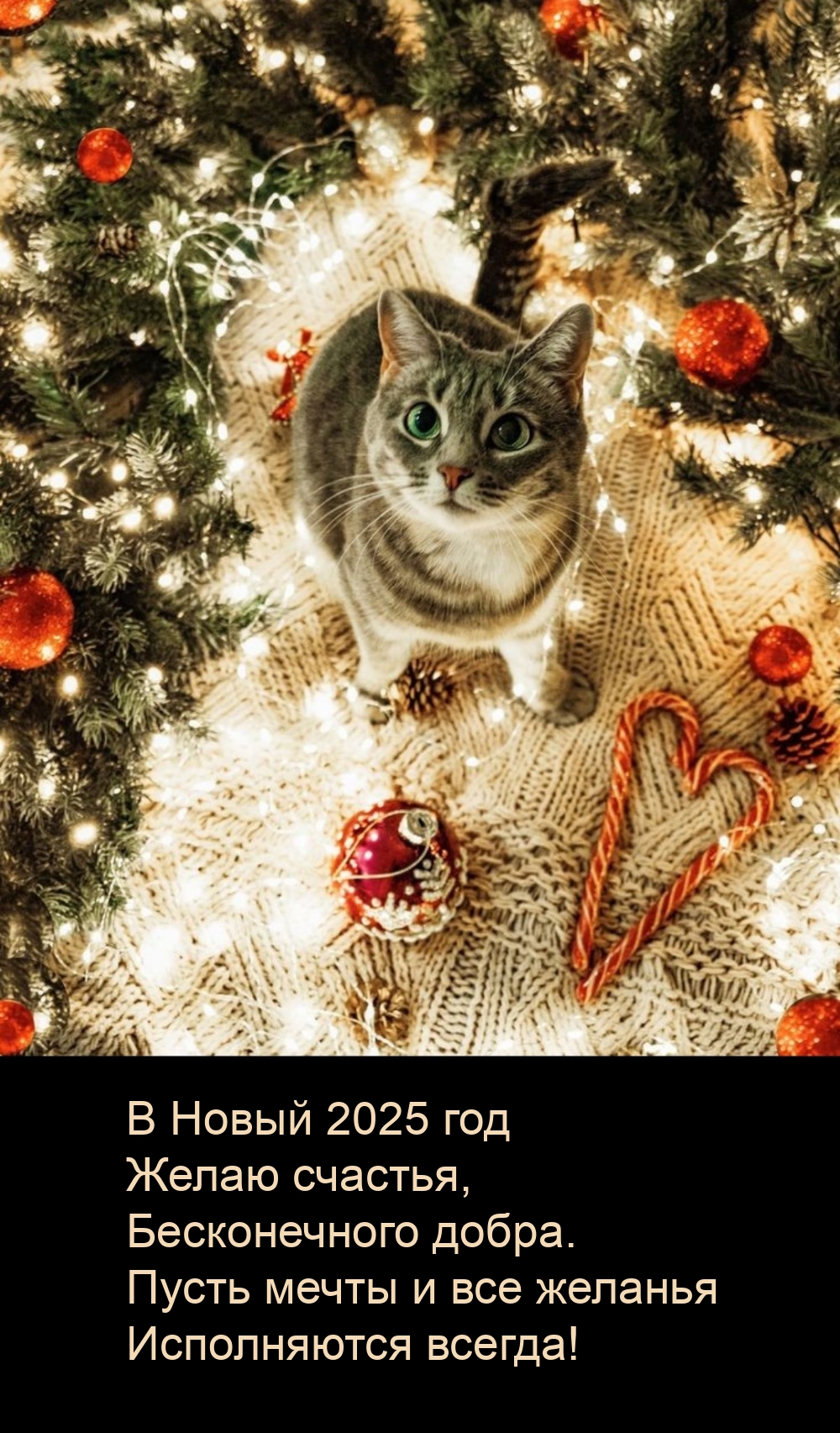 В Новый 2025 год желаю счастья, бесконечного добра.