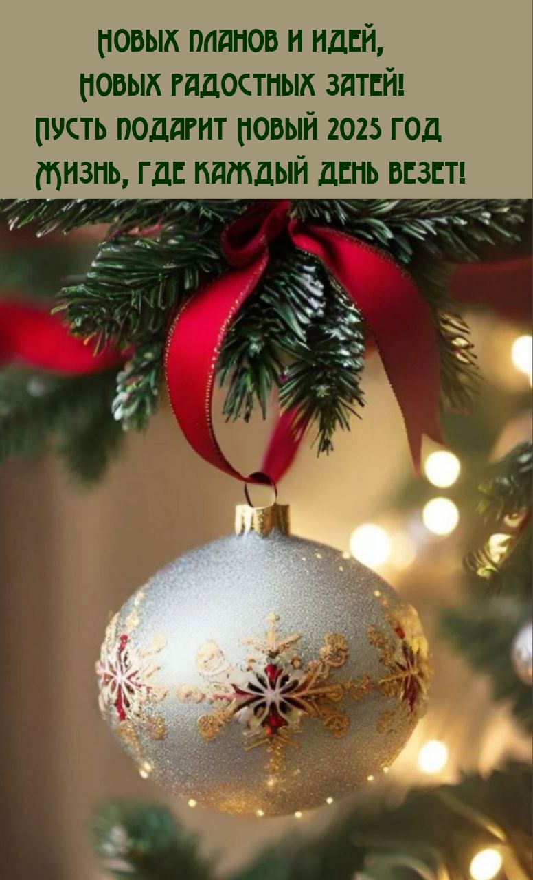 Пусть подарит Новый 2025 год жизнь, где каждый день везет!