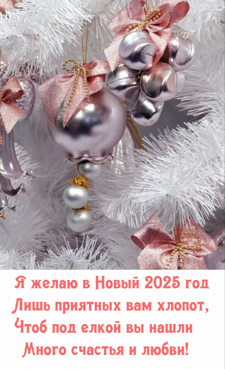 Я желаю в Новый 2025 год лишь приятных вам хлопот