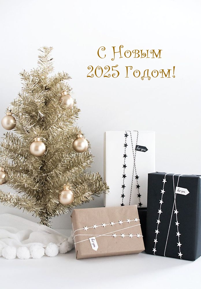 С Новым 2025 Годом!