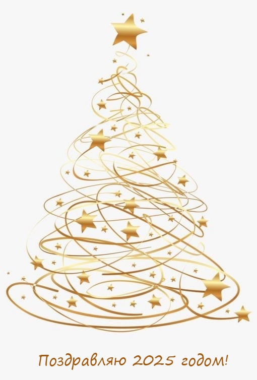 Поздравляю 2025 годом!