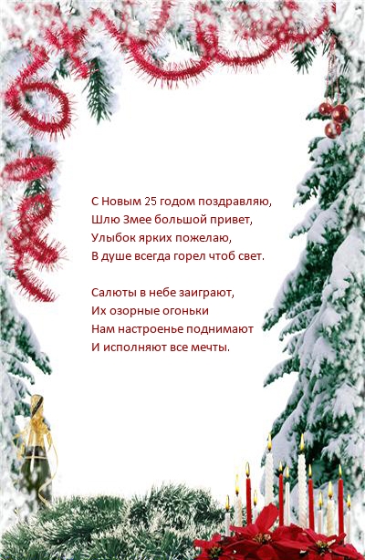 С Новым 25 годом поздравляю, шлю Змее большой привет
