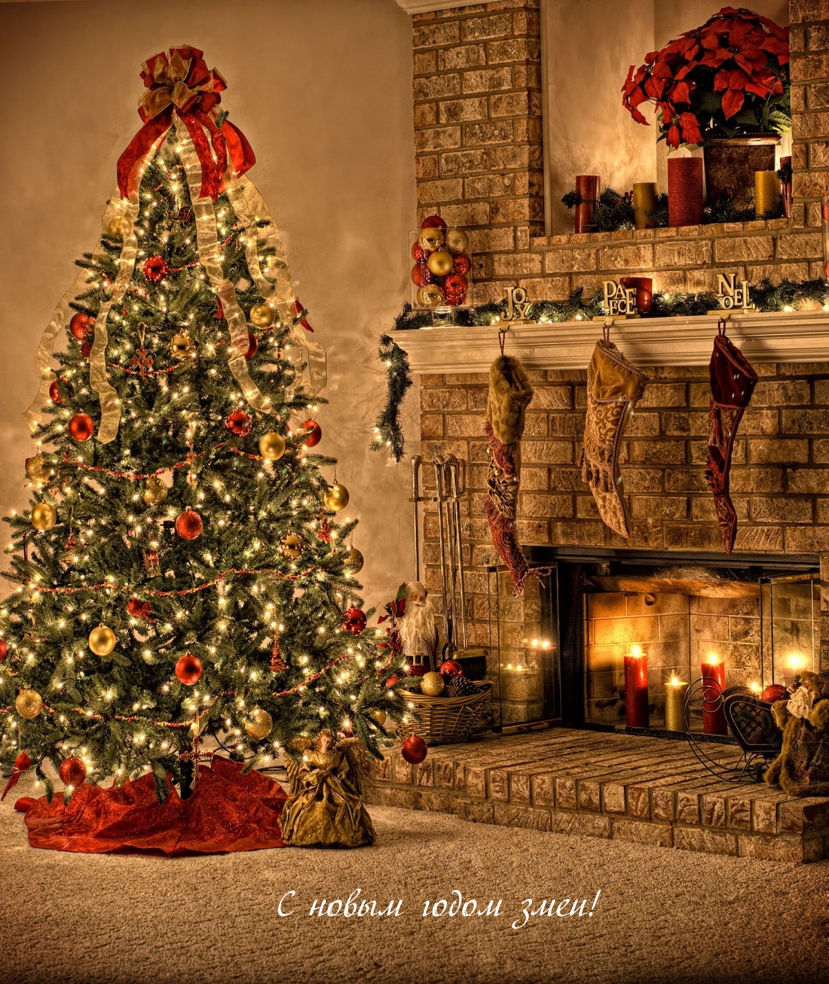 С новым годом змеи!