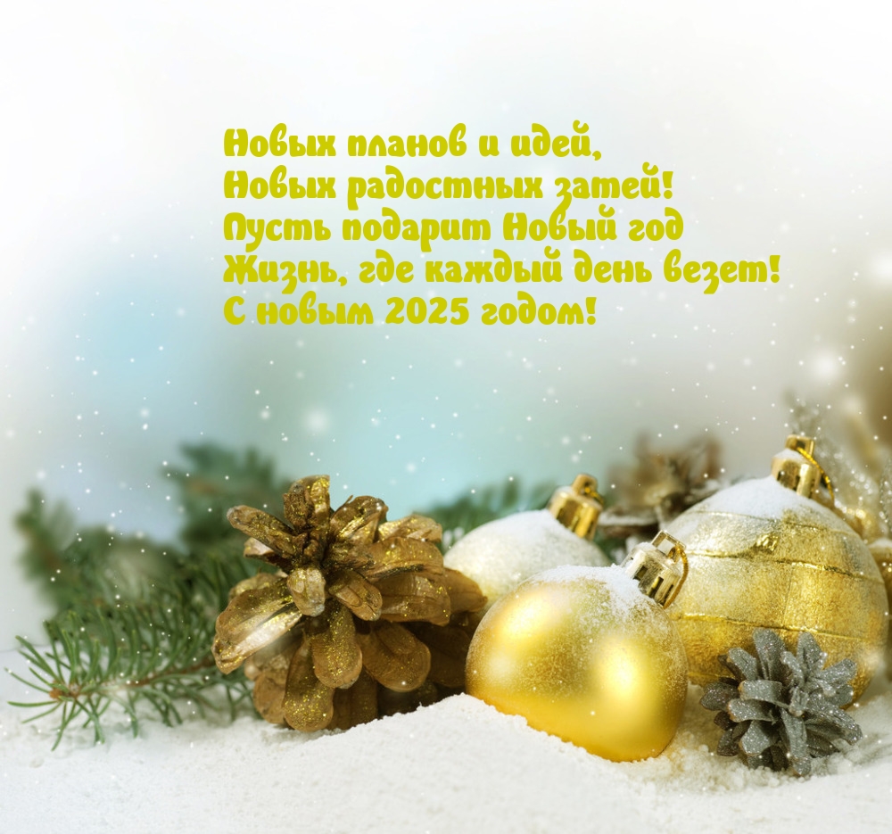 С новым 2025 годом! Новых планов и идей