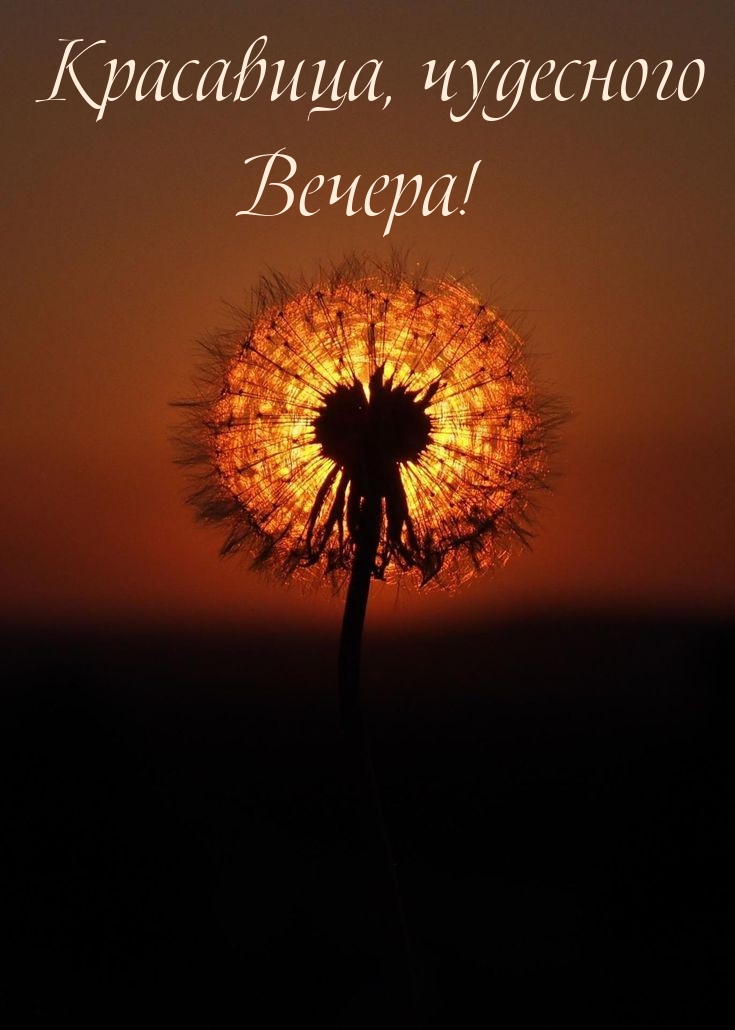 Красавица, чудесного Вечера!