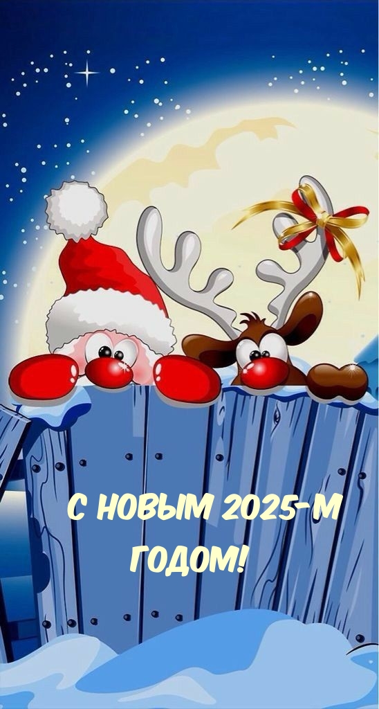 С Новым 2025-м Годом!