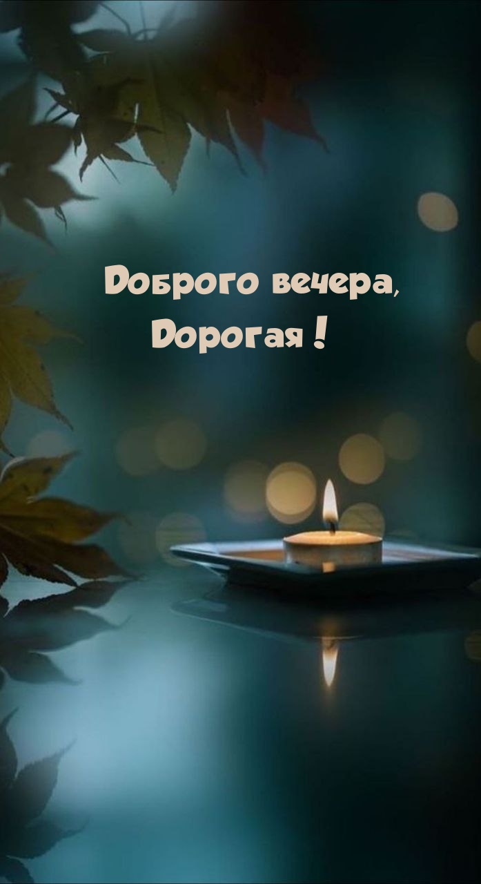 Доброго вечера, Дорогая!