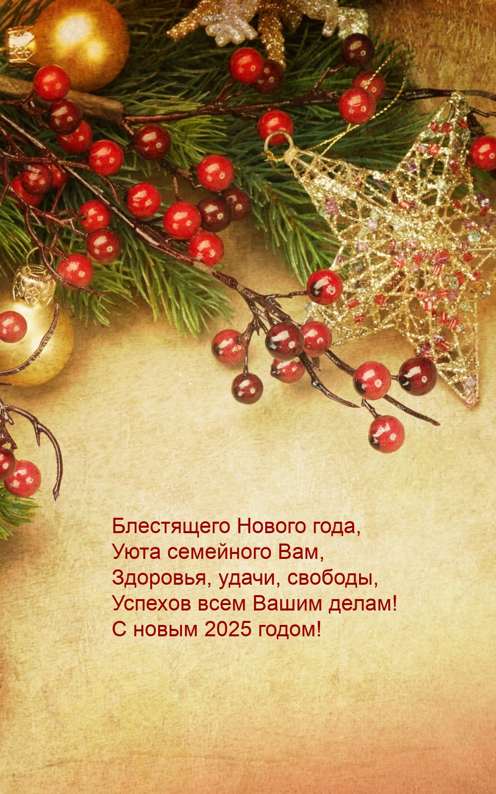 Успехов всем Вашим делам! С новым 2025 годом!