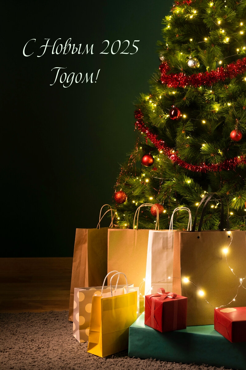 С Новым 2025 Годом!