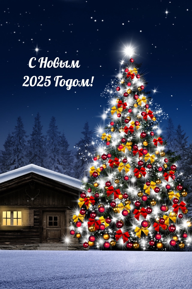 С Новым 2025 Годом!