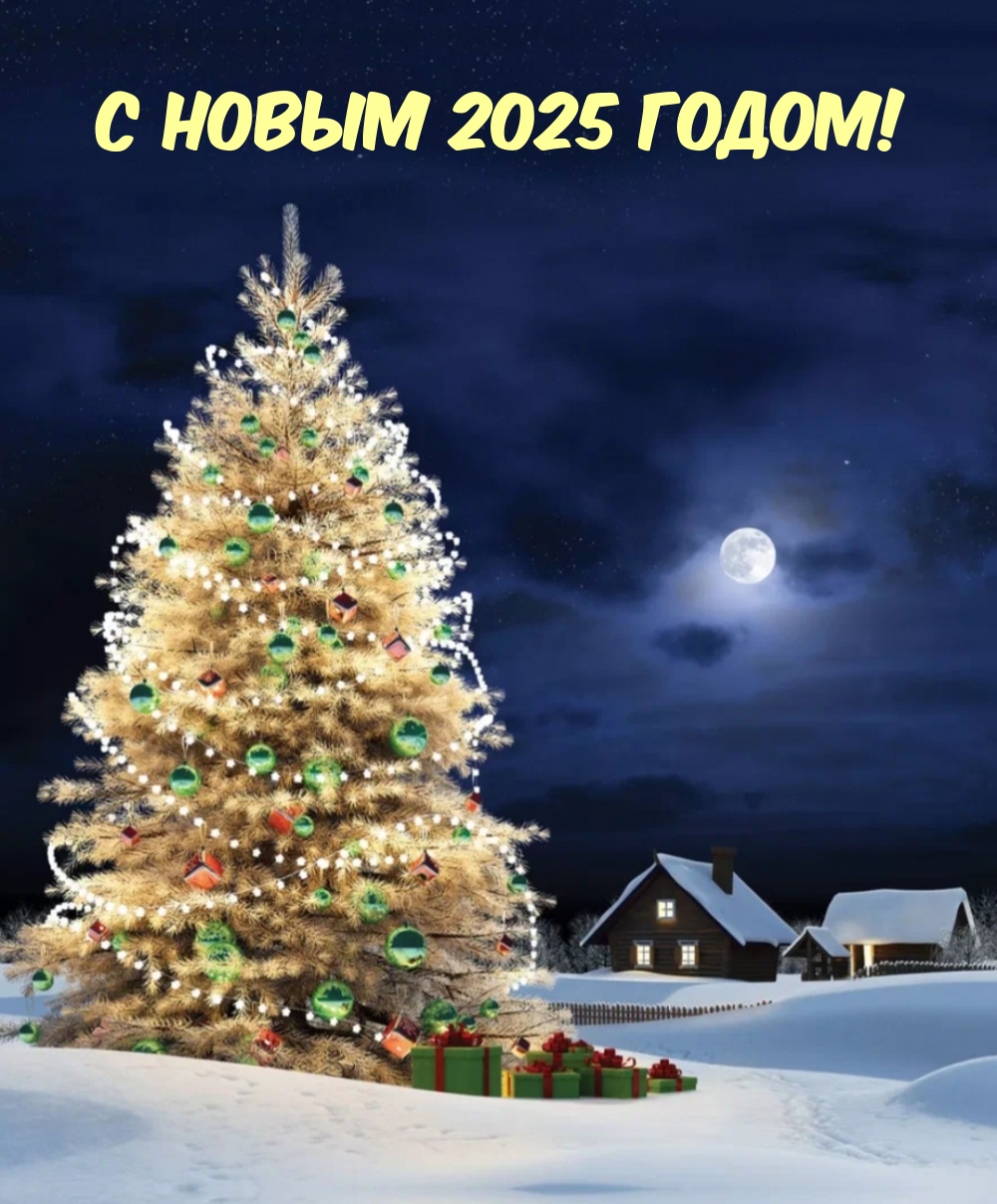 С новым 2025 годом!