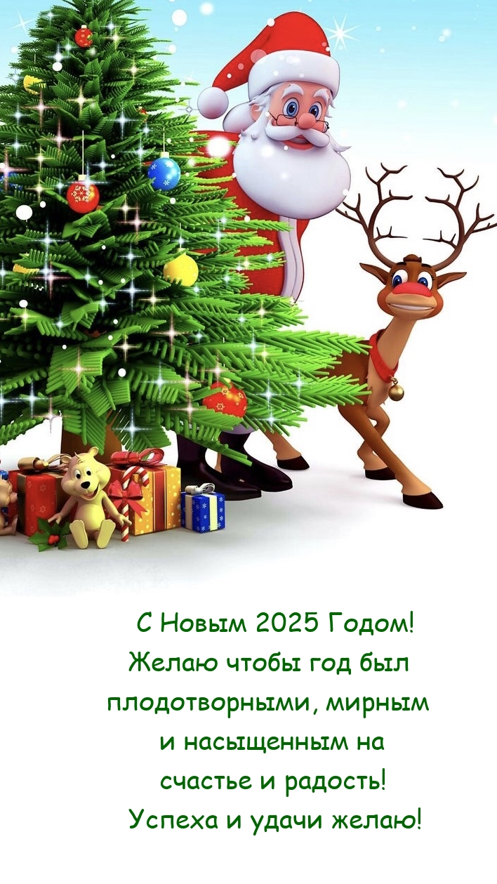 С Новым 2025 Годом! Желаю чтобы год был плодотворными