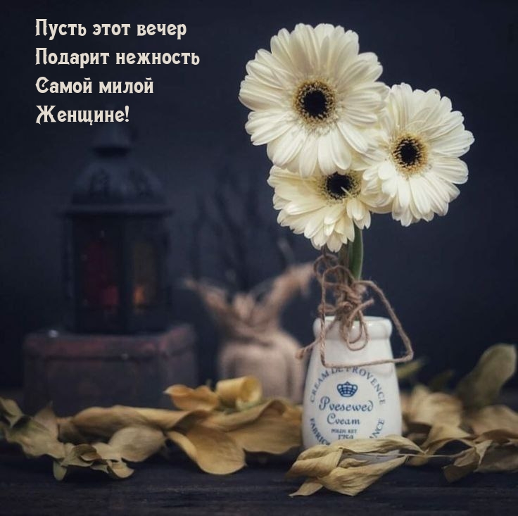 Пусть этот вечер подарит нежность самой милой женщине!