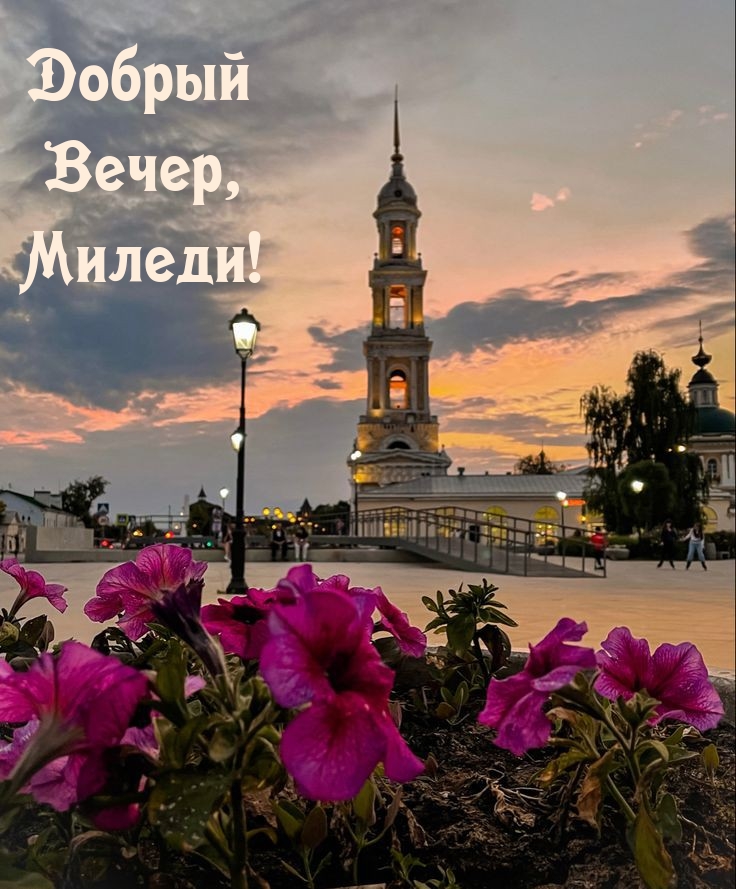 Добрый Вечер, Миледи!