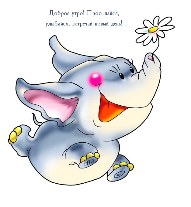 Доброе утро! Просыпайся, улыбайся, встречай новый день! 