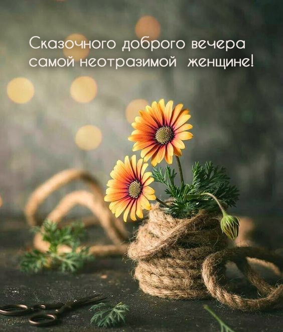 Сказочного доброго вечера самой неотразимой  женщине!