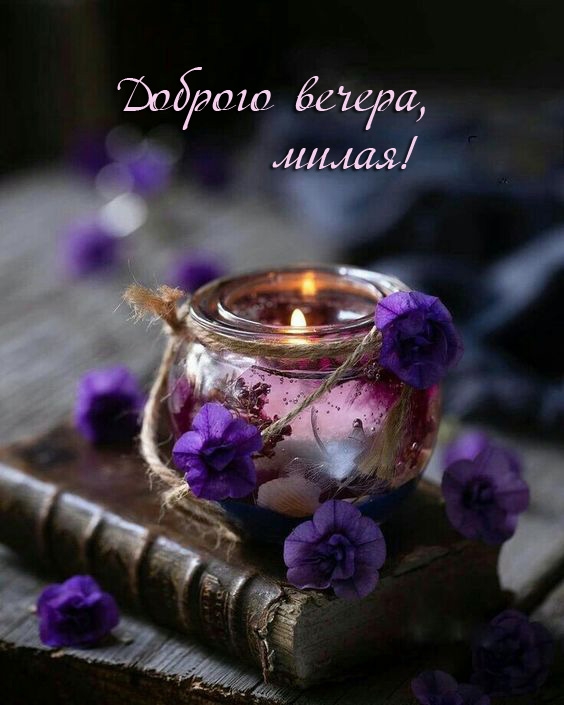 Доброго вечера, милая!