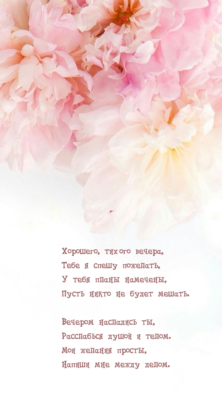 Хорошего, тихого вечера, Тебе я спешу пожелать