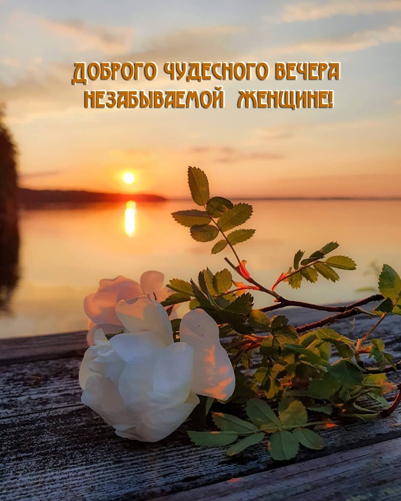 Доброго чудесного вечера незабываемой женщине!