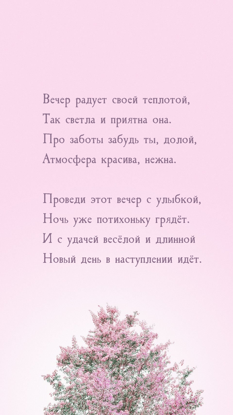 Вечер радует своей теплотой, так светла и приятна она.
