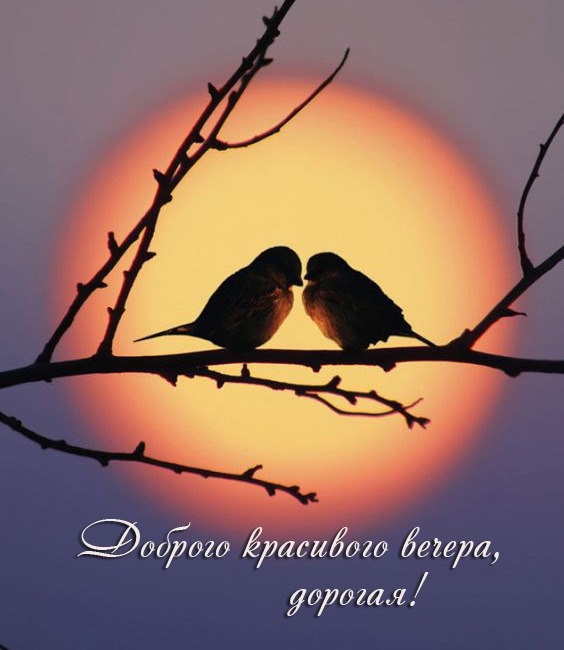Доброго красивого вечера, дорогая!