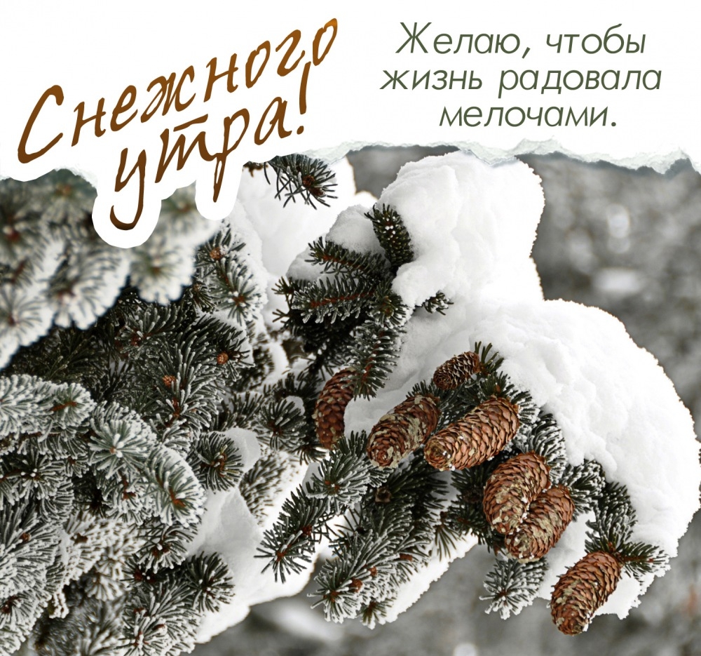 Снежного утра!