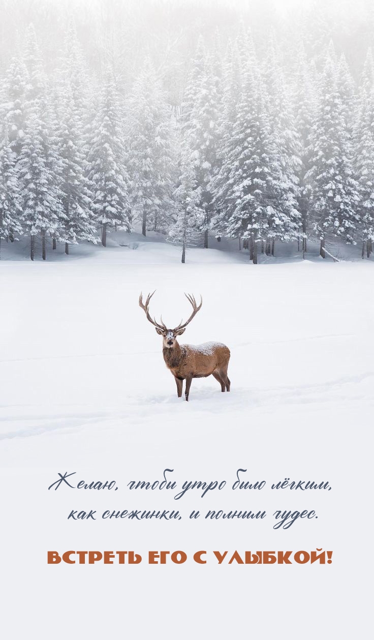 Желаю, чтобы утро было лёгким