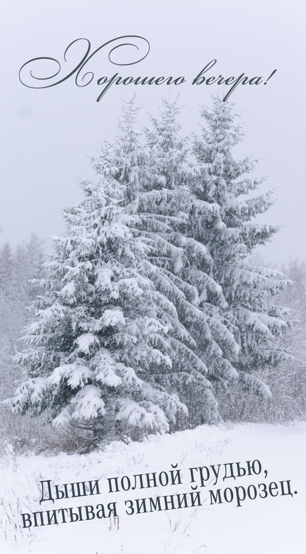 Дыши полной грудью, впитывая зимний морозец