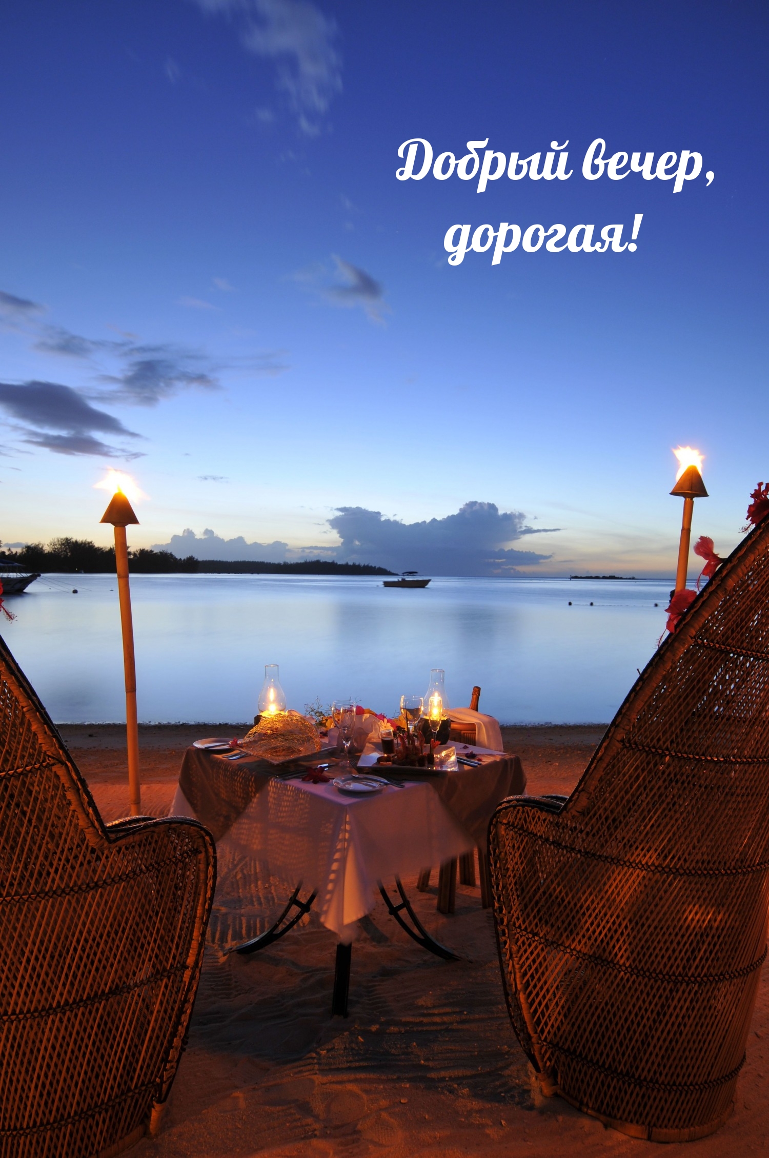 Добрый вечер, дорогая!