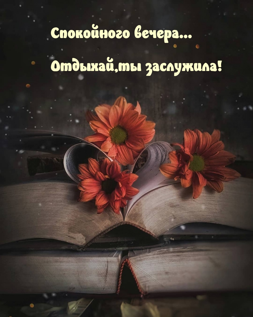 Спокойного вечера...  Отдыхай, ты заслужила!
