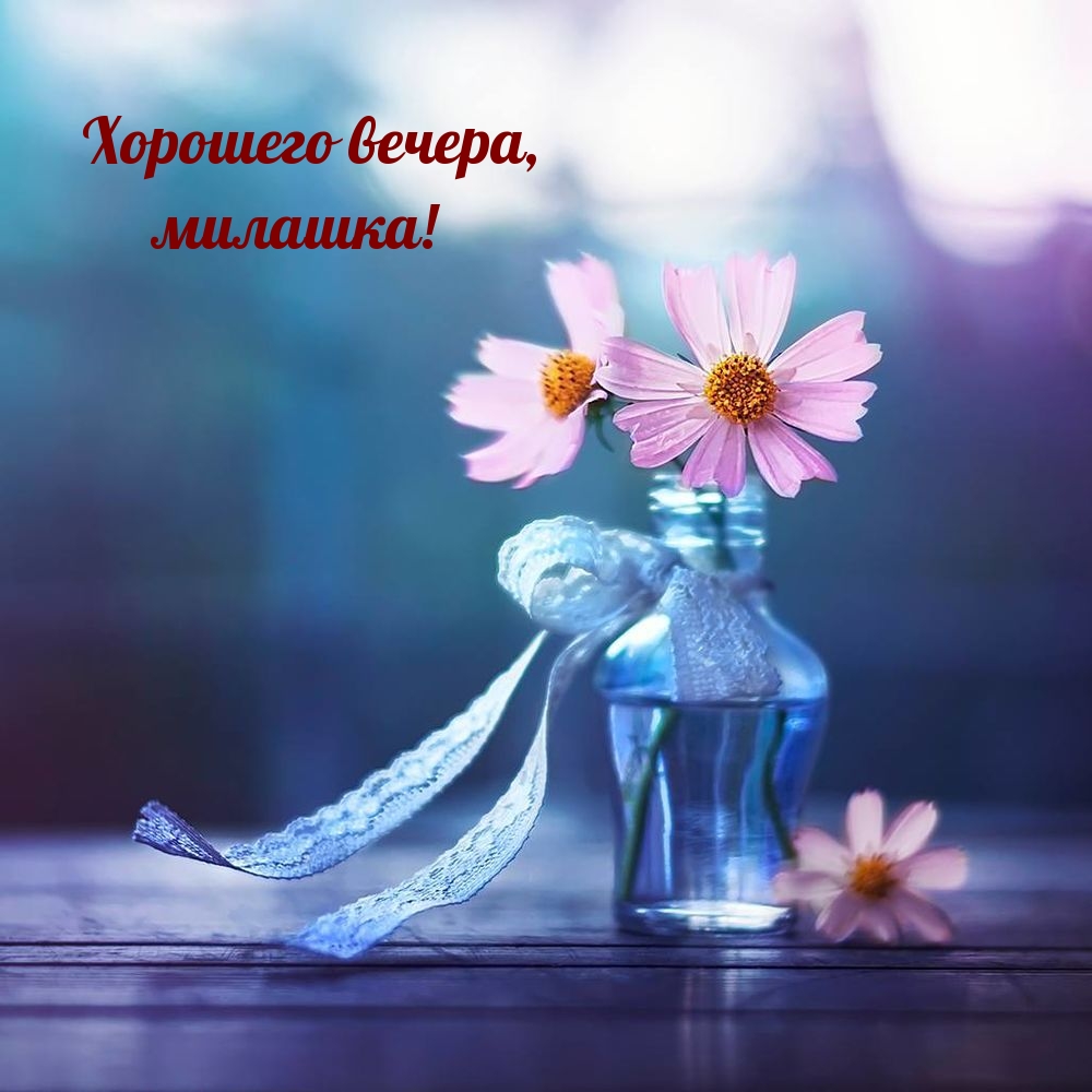 Хорошего вечера, милашка!