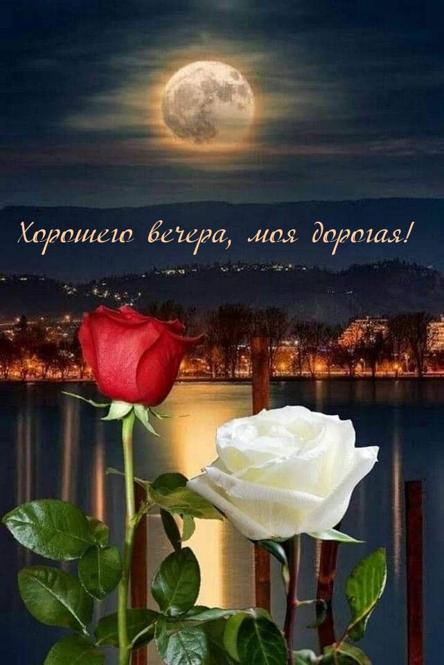 Хорошего вечера, моя дорогая!