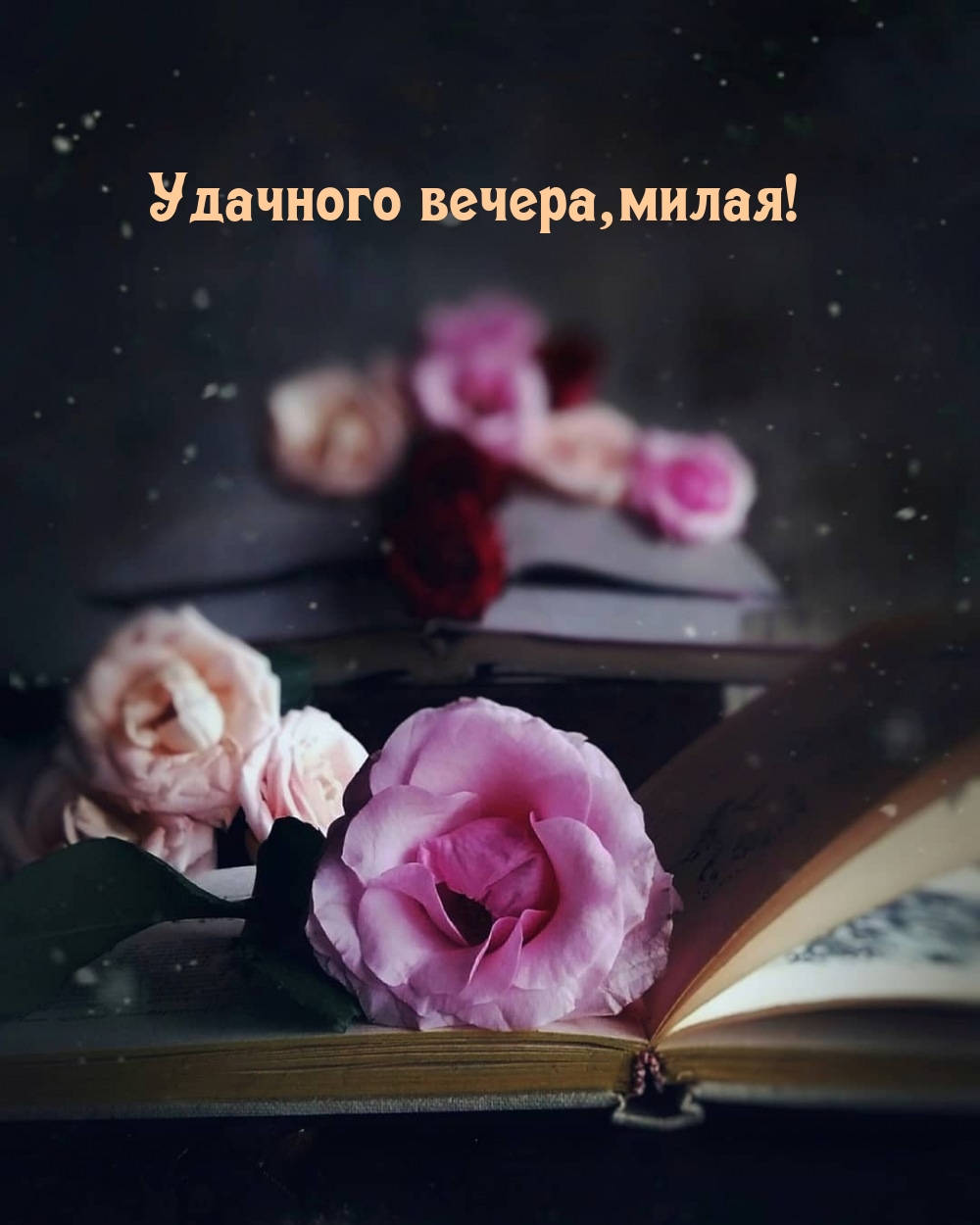 Удачного вечера, милая!