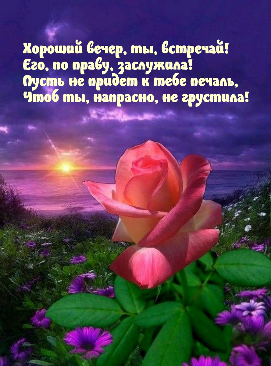 Хороший вечер, ты, встречай! Его, по праву, заслужила!