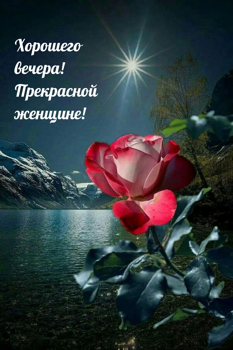 Хорошего вечера! Прекрасной женщине!