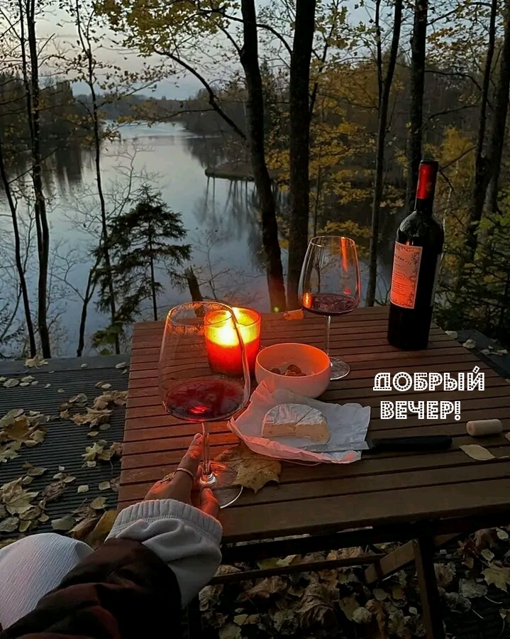 Добрый вечер!