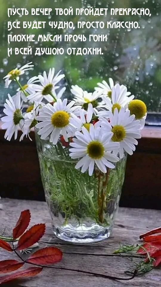 Пусть вечер твой пройдет прекрасно, Все будет чудно, просто классно.