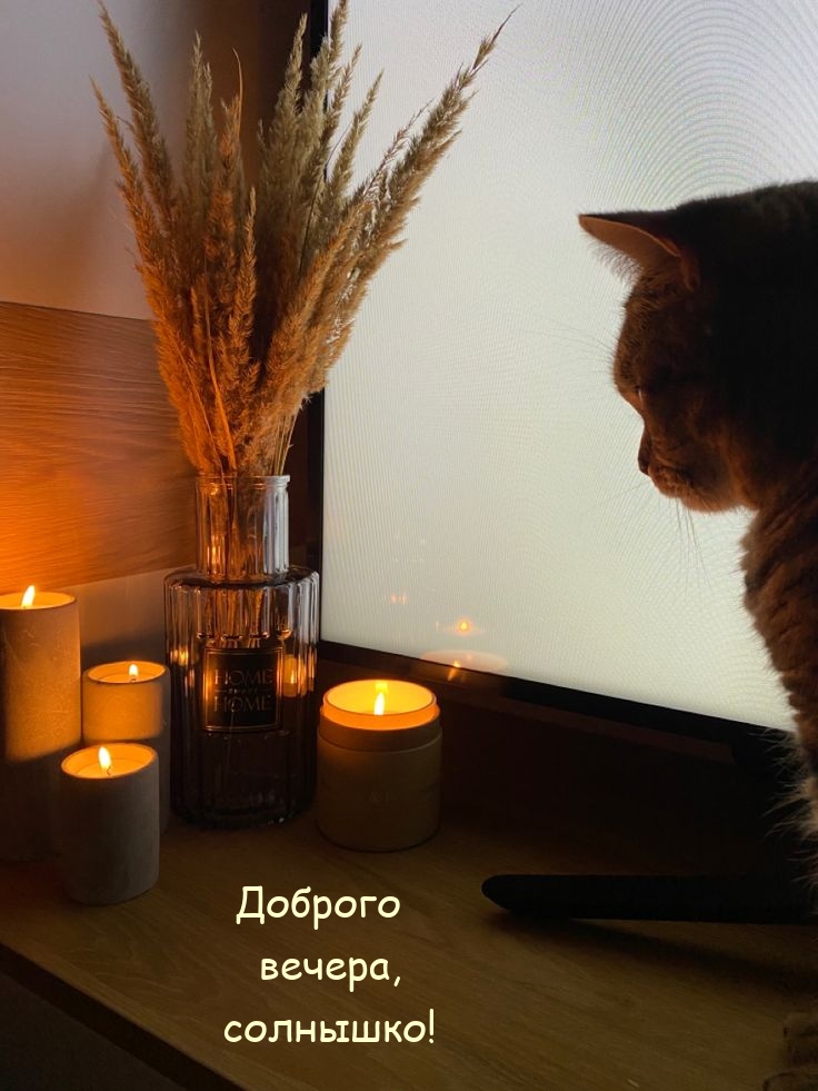 Доброго вечера, солнышко!